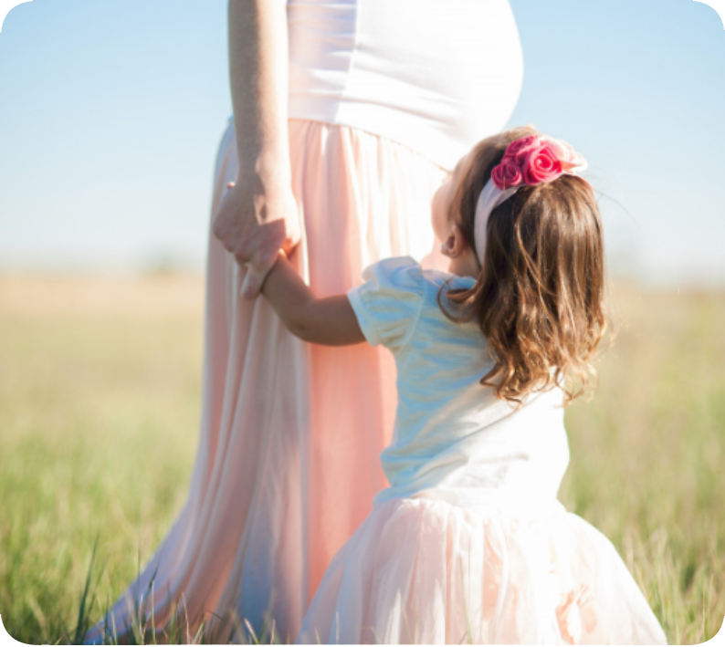 Complicité et lumière naturelle – Maman enceinte et sa fille dans un champ. Maman enceinte avec sa petite fille, marchant main dans la main dans un champ sous une belle lumière naturelle.
